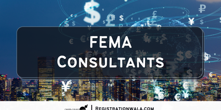 FEMA Consultants