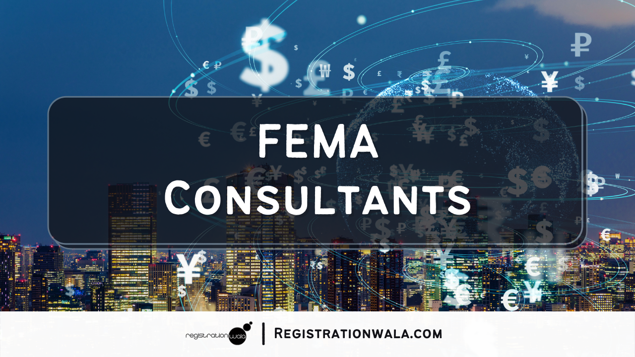 FEMA Consultants in Delhi: An Overview