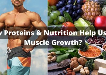 How Proteins & Nutrition Help us for Muscle Growth?