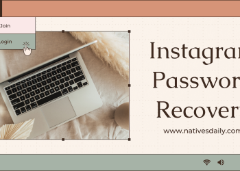 Instagram Password Recovery