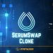 Serumswap Clone Software