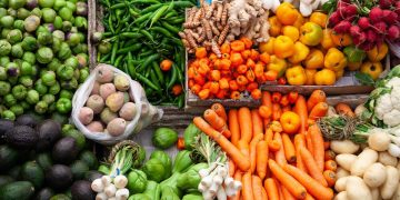 Start A Profitable Vegetable Business With Easy Step