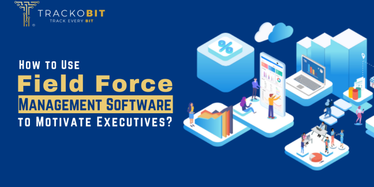 How to Use Field Force Management Software to Motivate Executives?