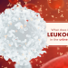 increased leukocytes in the urine indicate