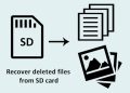 Recover Lost Files from SD Card