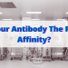 antibody characterization