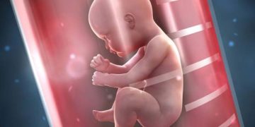 Infertility: Best Treatment For Test Tube Baby