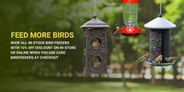 wild bird feed