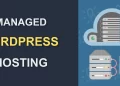 managed wordpress hosting provider