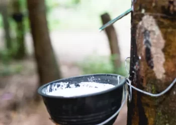 Natural Rubber Industry Report