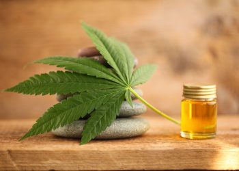 How to Make Use of CBD Oil to Treat Erectile Dysfunction