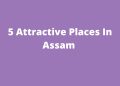 5 Attractive Places In Assam