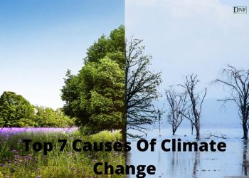 Top 7 Causes Of Climate Change | Daily Nature Facts
