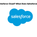 Salesforce Cloud